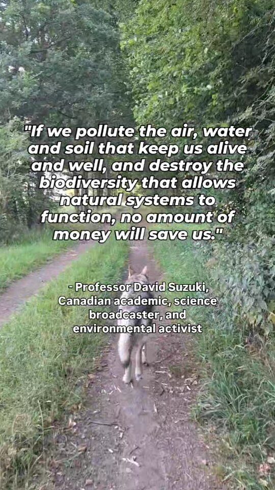 Instagram post from consciousquokka. This post is in position 1.