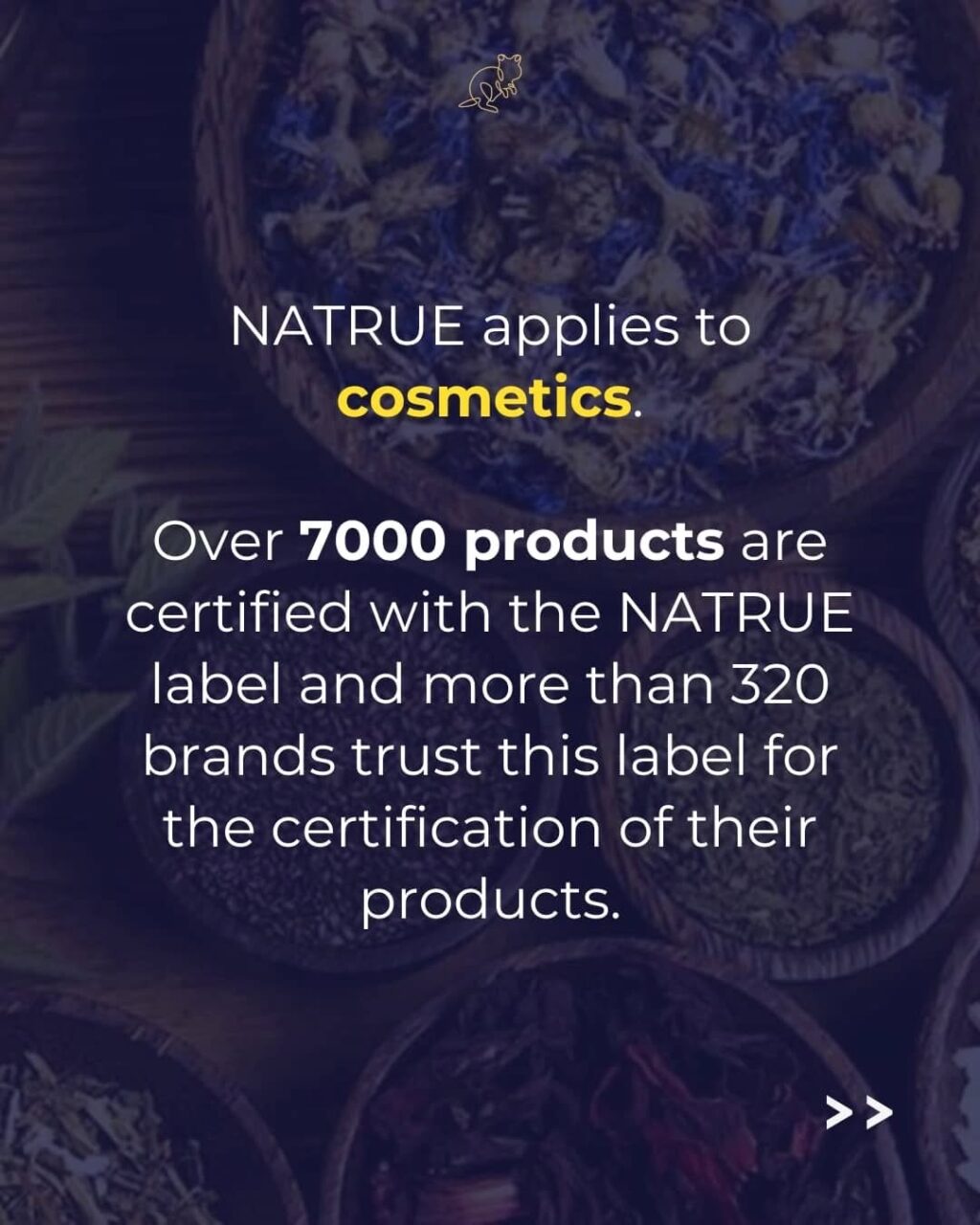 Instagram post from consciousquokka. This post is in position 3.
