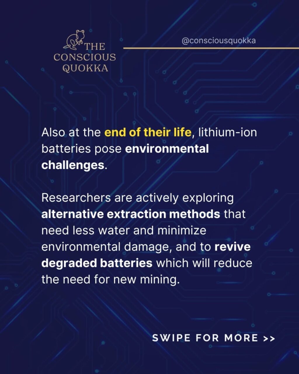 Instagram post from consciousquokka. This post is in position 4.
