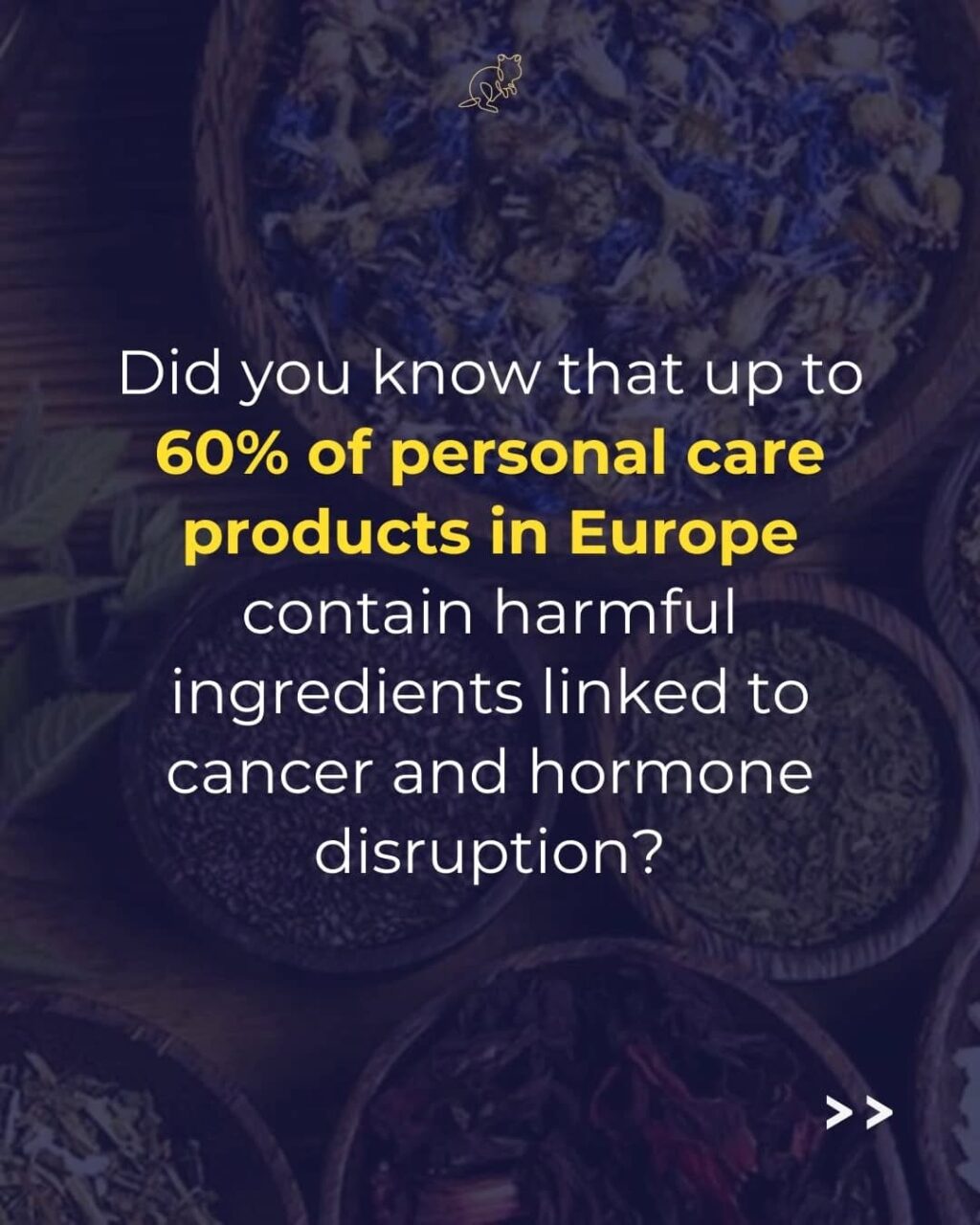 Instagram post from consciousquokka. This post is in position 2.