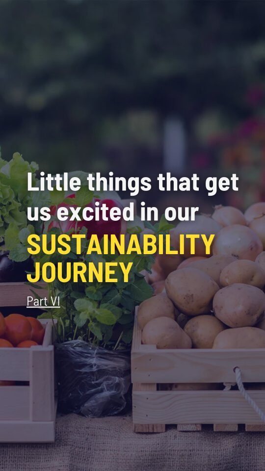 Instagram post from consciousquokka. This post is in position 1.
