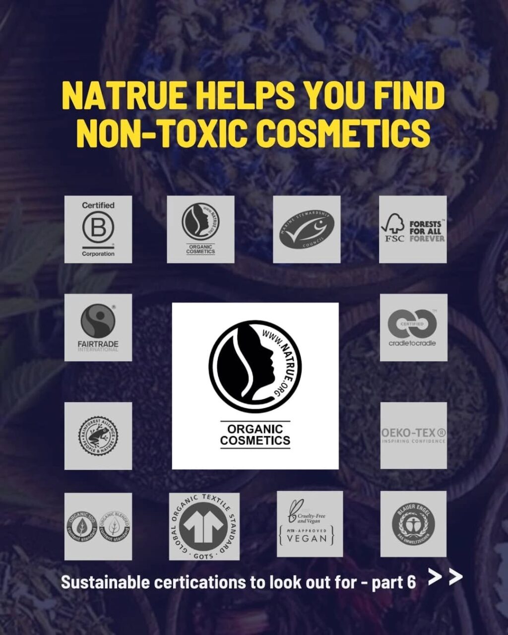 Instagram post from consciousquokka. This post is in position 1.