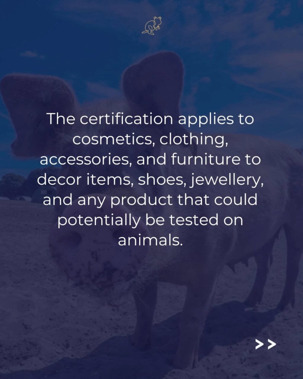 Instagram post from consciousquokka. This post is in position 3.