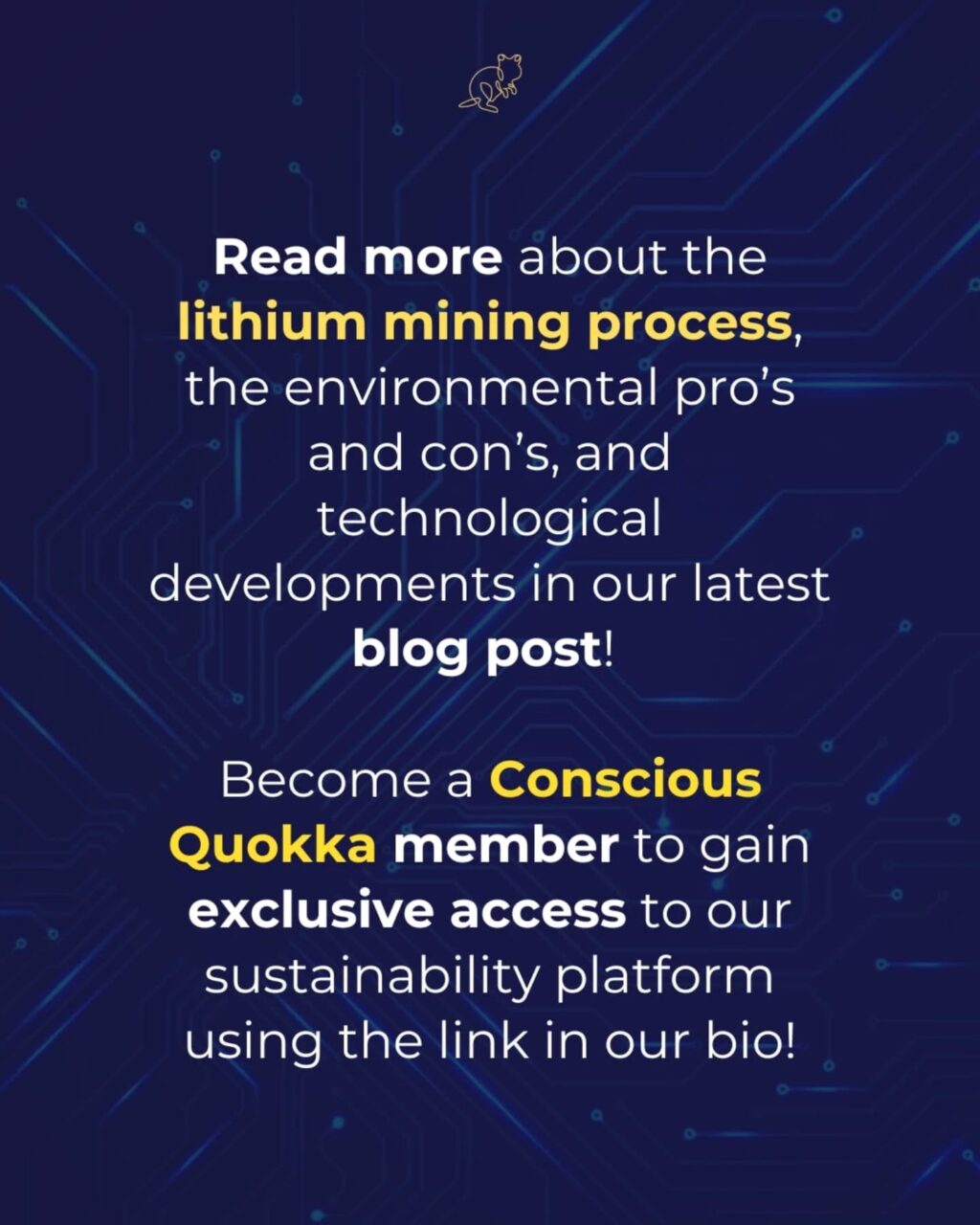 Instagram post from consciousquokka. This post is in position 5.