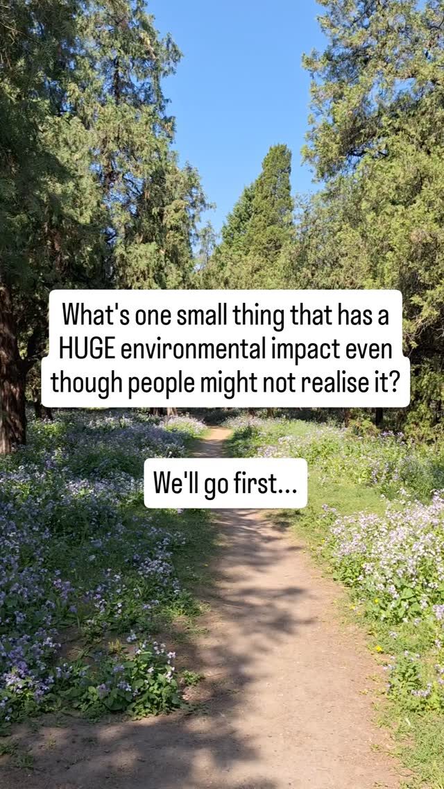Instagram post from consciousquokka. This post is in position 2.