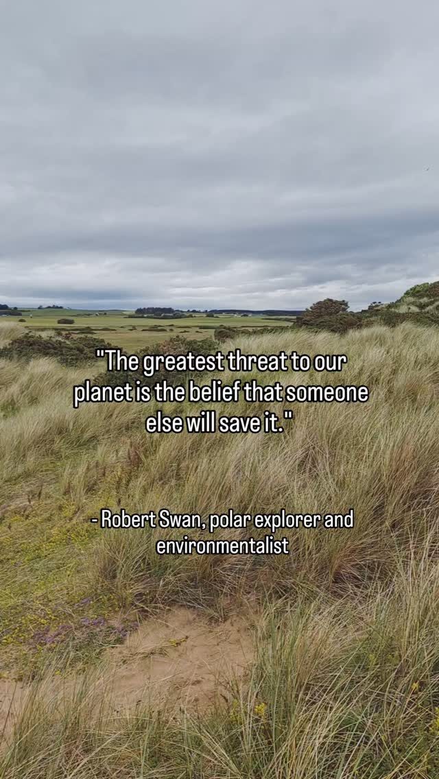 Instagram post from consciousquokka. This post is in position 4.