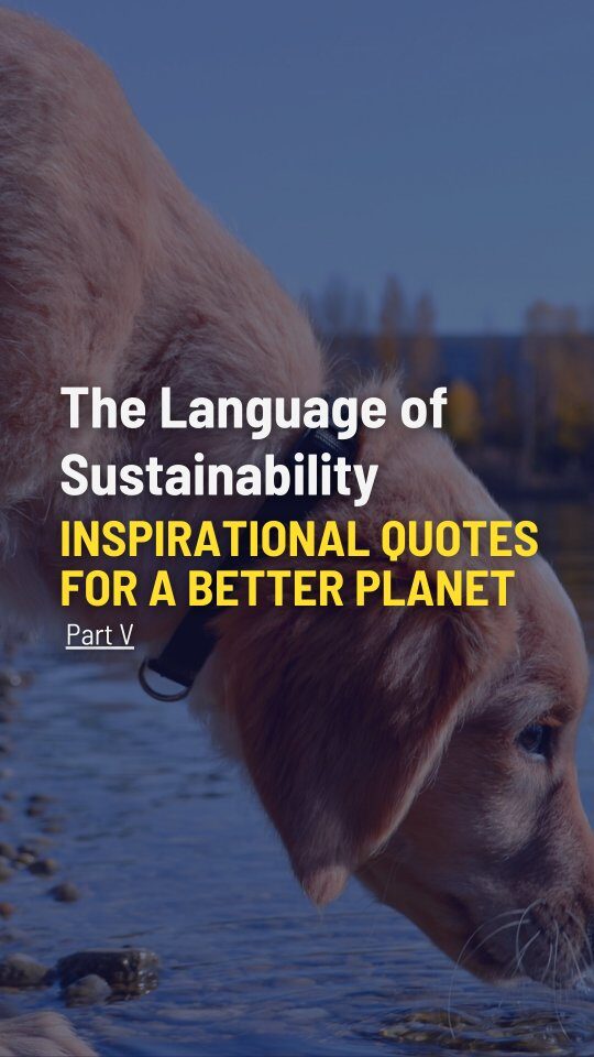 Instagram post from consciousquokka. This post is in position 2.
