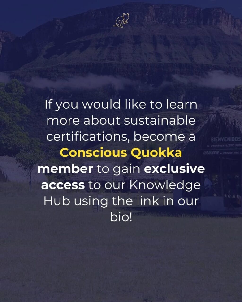 Instagram post from consciousquokka. This post is in position 6.