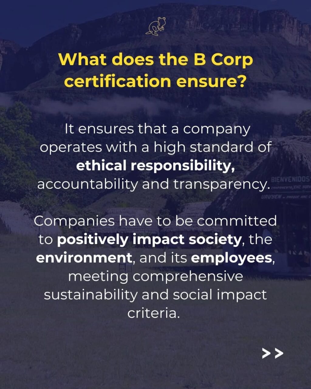 Instagram post from consciousquokka. This post is in position 4.