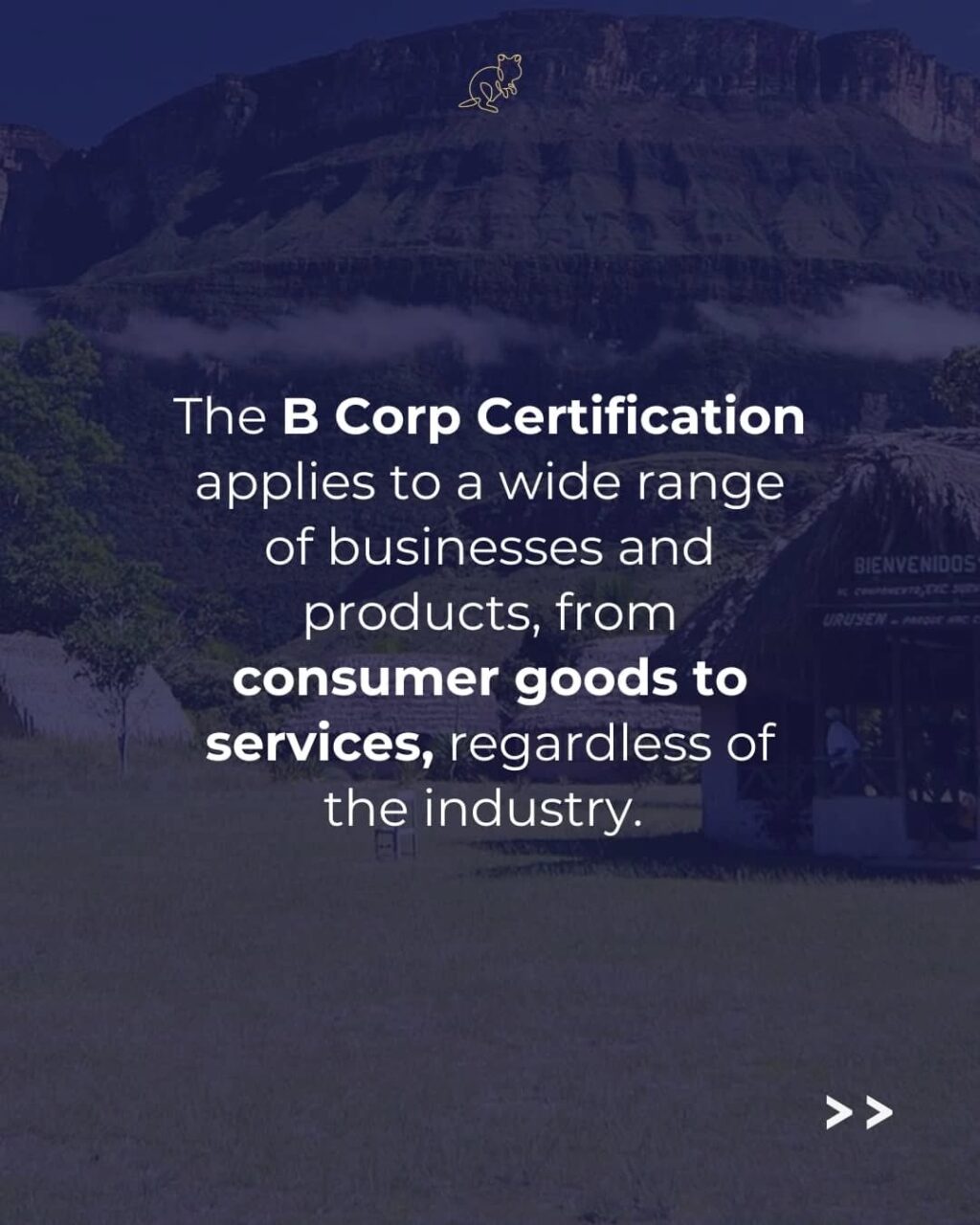 Instagram post from consciousquokka. This post is in position 3.