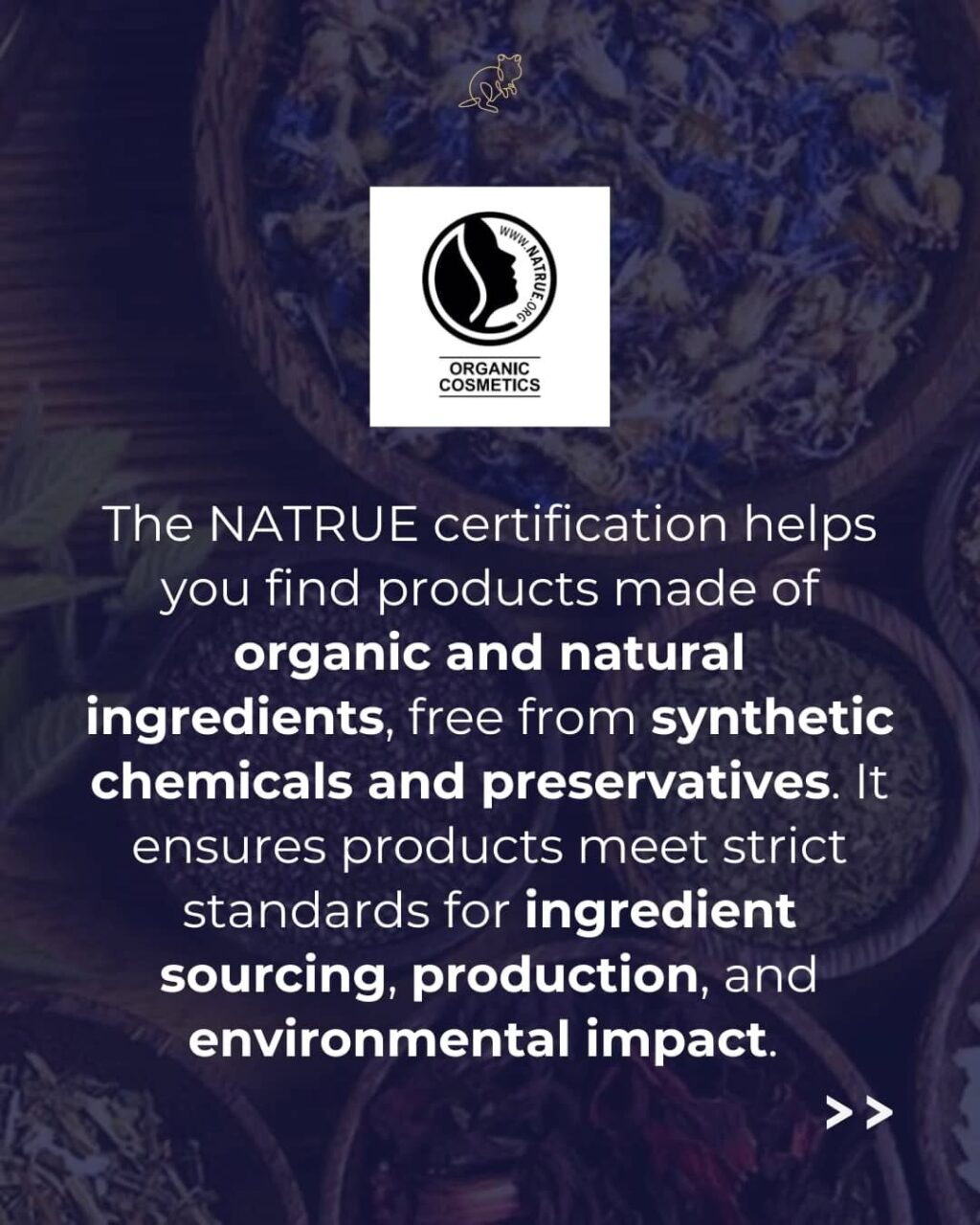 Instagram post from consciousquokka. This post is in position 2.