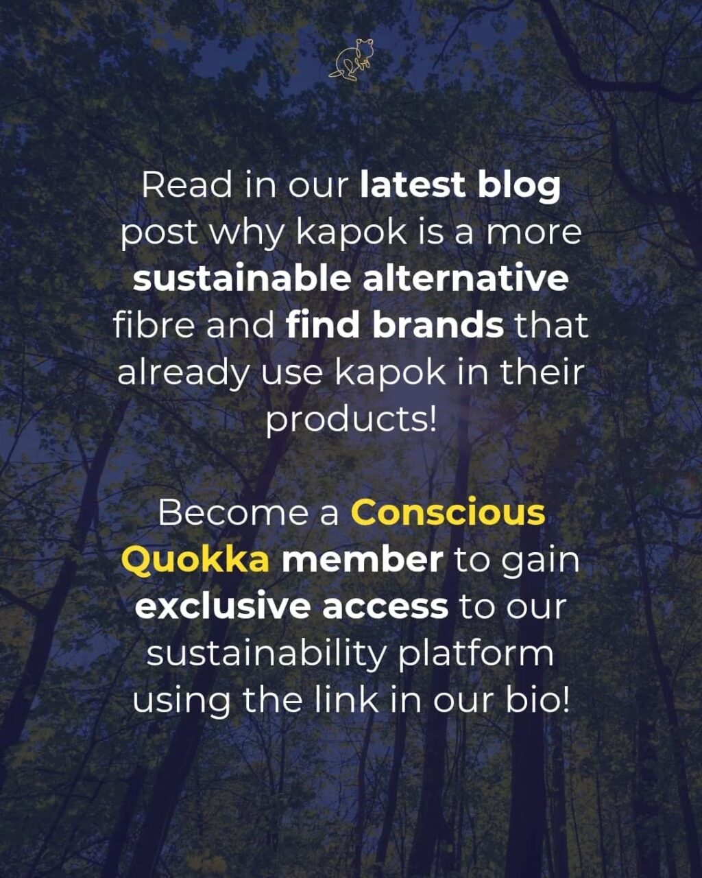 Instagram post from consciousquokka. This post is in position 3.