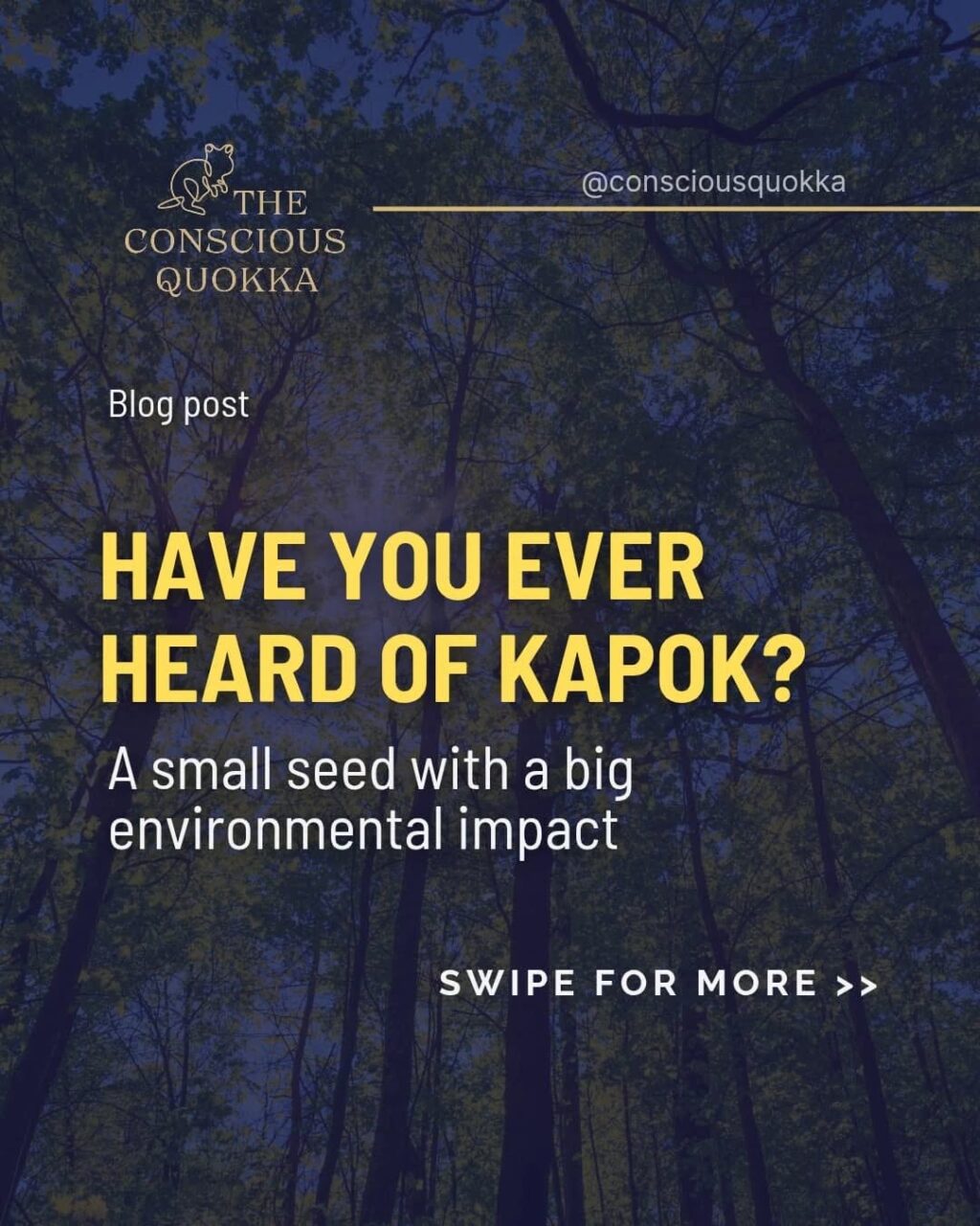 Instagram post from consciousquokka. This post is in position 0.