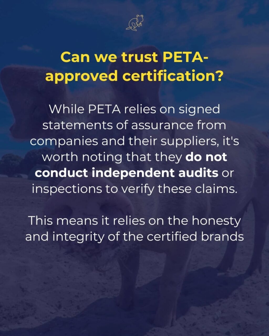 Instagram post from consciousquokka. This post is in position 5.